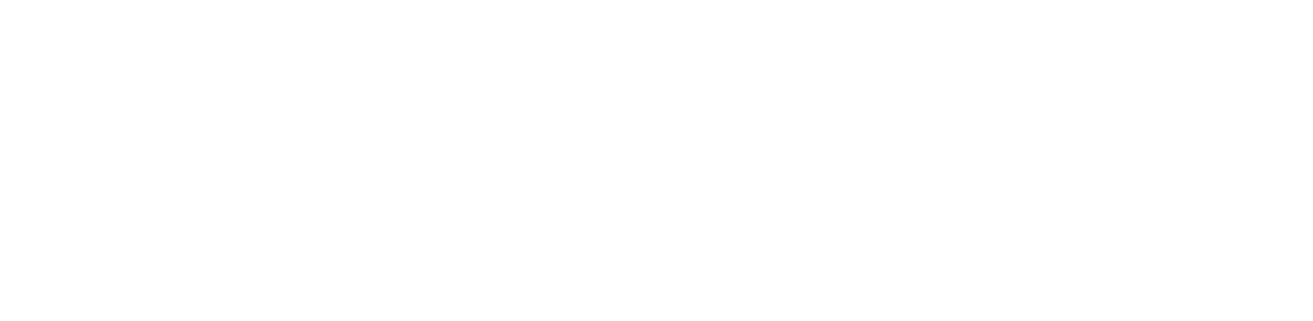 Special Fi